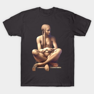 like from the 16th century Madame.  3 T-Shirt